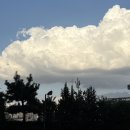 김형섭 | 立春大吉 建陽多慶