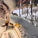 31140-7-49-12 | #49 2025 12월 첫째주 일기