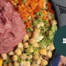 애견식단 이미지