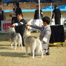 연암축산 이미지