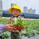 은호농장 이미지