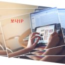 보나아이피 네이버블로그