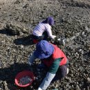 구로-신도-구로-100 이미지