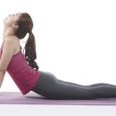 고릴라짐 이미지