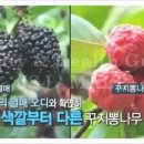 그림향기 이미지