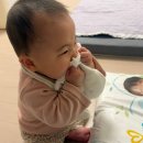 사랑샘어린이집 | 샘 없는 팬티형 기저귀 추천 팸퍼스 팸퍼스 2026 터치 오브 네이처 팬티 사용 후기