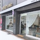 비비드헤어 이미지