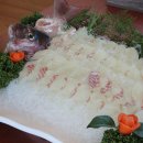 보물섬횟집 이미지