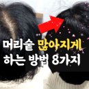 👍머리숱 많아지게 하는 방법 8가지✨-날마다 좋은글 중에서 이미지
