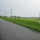 민들레부동산 공인중개사사무소 이미지