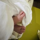 산본1 | 산본제일병원 1인실 오픈런, 제왕절개 입원후기 , 준비물