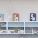 한결강아지미용실 이미지