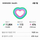 김용대농장 네이버블로그