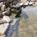 페이지102 이미지