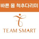 팀스마트 이미지