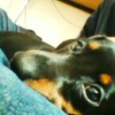 Dr.JK 동물병원 이미지