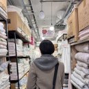 서초대로32길 36-5_ | 광장시장 굴아저씨 팝업 평일 오픈런 대기 솔직후기