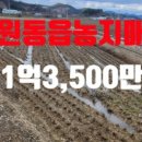 황금터농장 이미지