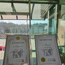 황제애견 이미지