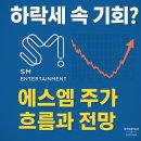 에스엠(SM)공인중개사사무소 | 하락세 속 기회? 에스엠 주가 흐름과 전망