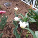 환영농장 이미지