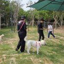 과정공원 체육시설