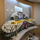 뉴대성병원 이미지