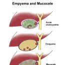 24시 송도힐 동물메디컬센터 이미지