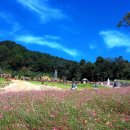 국내여행지 한국 가볼만한곳 한국관광 100선 이미지