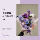 사라플라워 이미지