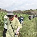 정도전길 이미지