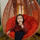 빈따구