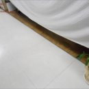 대덕대로1 이미지