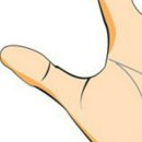 치(寸; 마디 촌) = 0.1척 = 3.03cm = 엄지 1마디 이미지