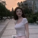 새끼 하마 잡이하는 하이에나들 이미지