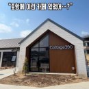 390 | [포항 가볼만한곳] 채광 맛집 감성카페 '코티지390' 솔직 후기 (내돈내산)