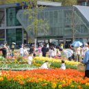 정원 - 용인시 기흥구 평촌3로 5-7 | 정원