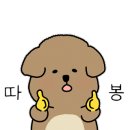 부산시청 전자담배 베이프미 네이버블로그