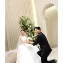 더메인 | 더애플즈 촬영 후기 │ 본식메인스냅 당산 그랜드컨벤션센터 리젠시홀
