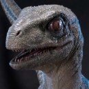 베이비프라임 이미지