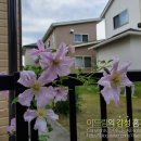 텐텔 이미지