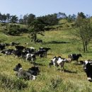 축산랜드 이미지