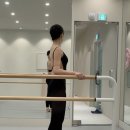 태초에는 | [성인발레복 후기] 태초 세컨스킨 히마티온 리플 슬리브 레오타드