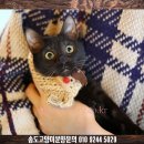 논현고잔동-10 이미지