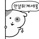 OK 세차 정비 서비스 이미지