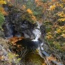 별빛야영장 이미지