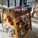 토이캐슬 이미지