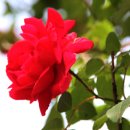 남부수자원생태공원 이미지