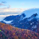 (주)한바다통상 | 251019 무박 설악산공룡능선 단풍과 운해 후기
