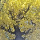 불광1-010 이미지